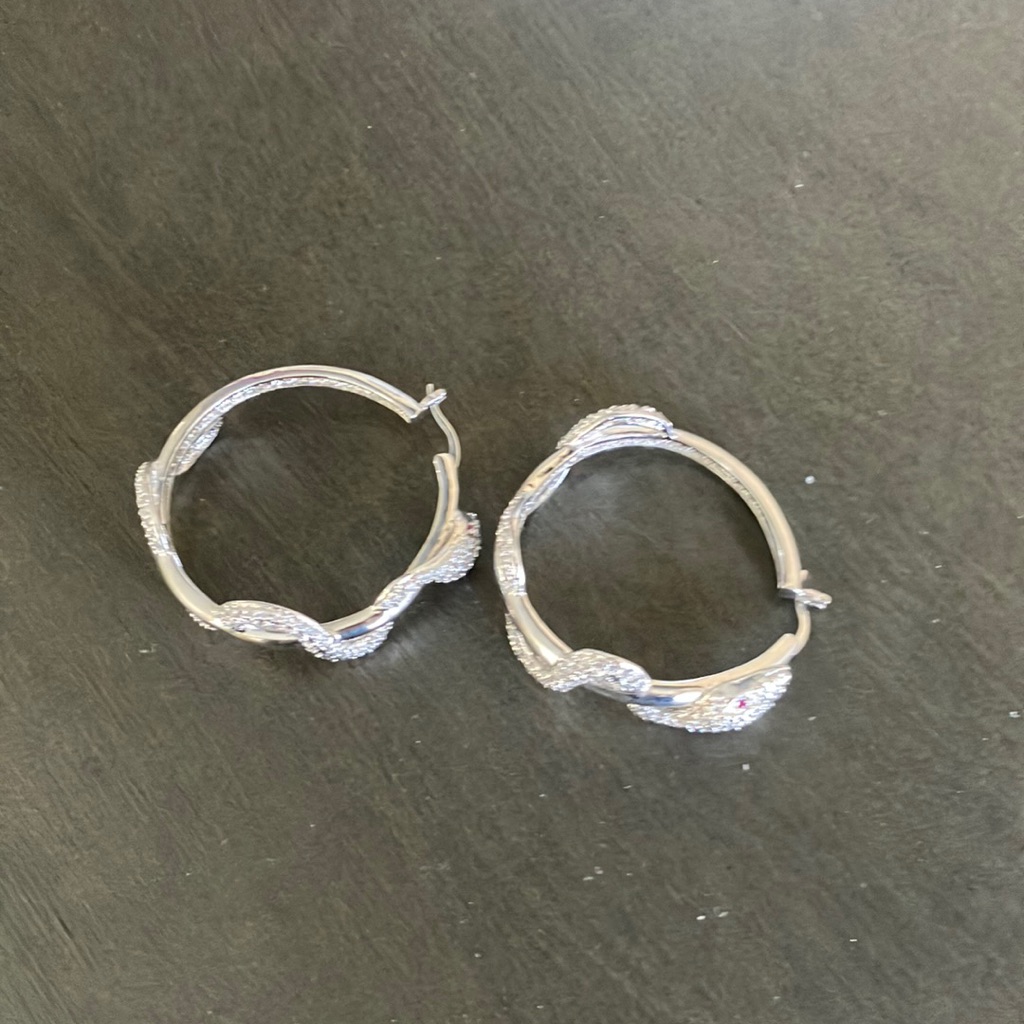 Loop Earrings Silver